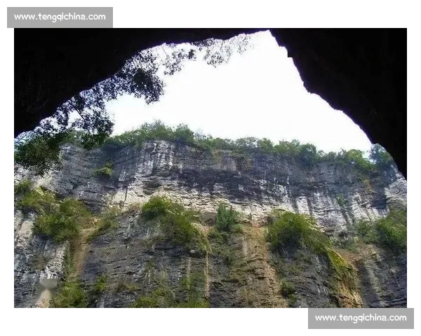 央视盯上开阳猴耳天坑!出片率 90%,这 “飞翔” 太上头 央视盯上开阳猴耳天坑!出片率 90%,这 “飞翔” 太上头